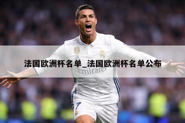 法国欧洲杯名单_法国欧洲杯名单公布
