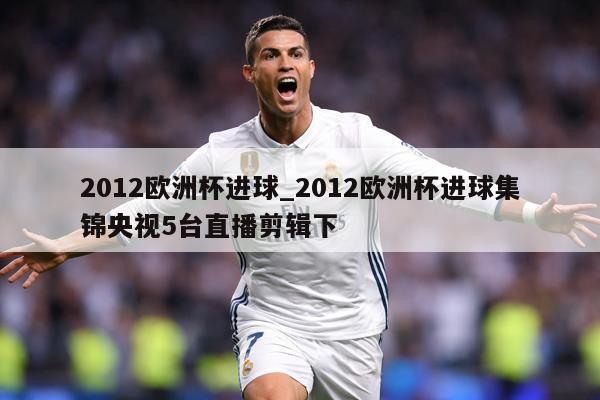 2012欧洲杯进球_2012欧洲杯进球集锦央视5台直播剪辑下